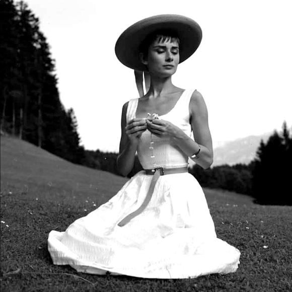 Posh It! Posh It Real Good! - Picture 5 of 8